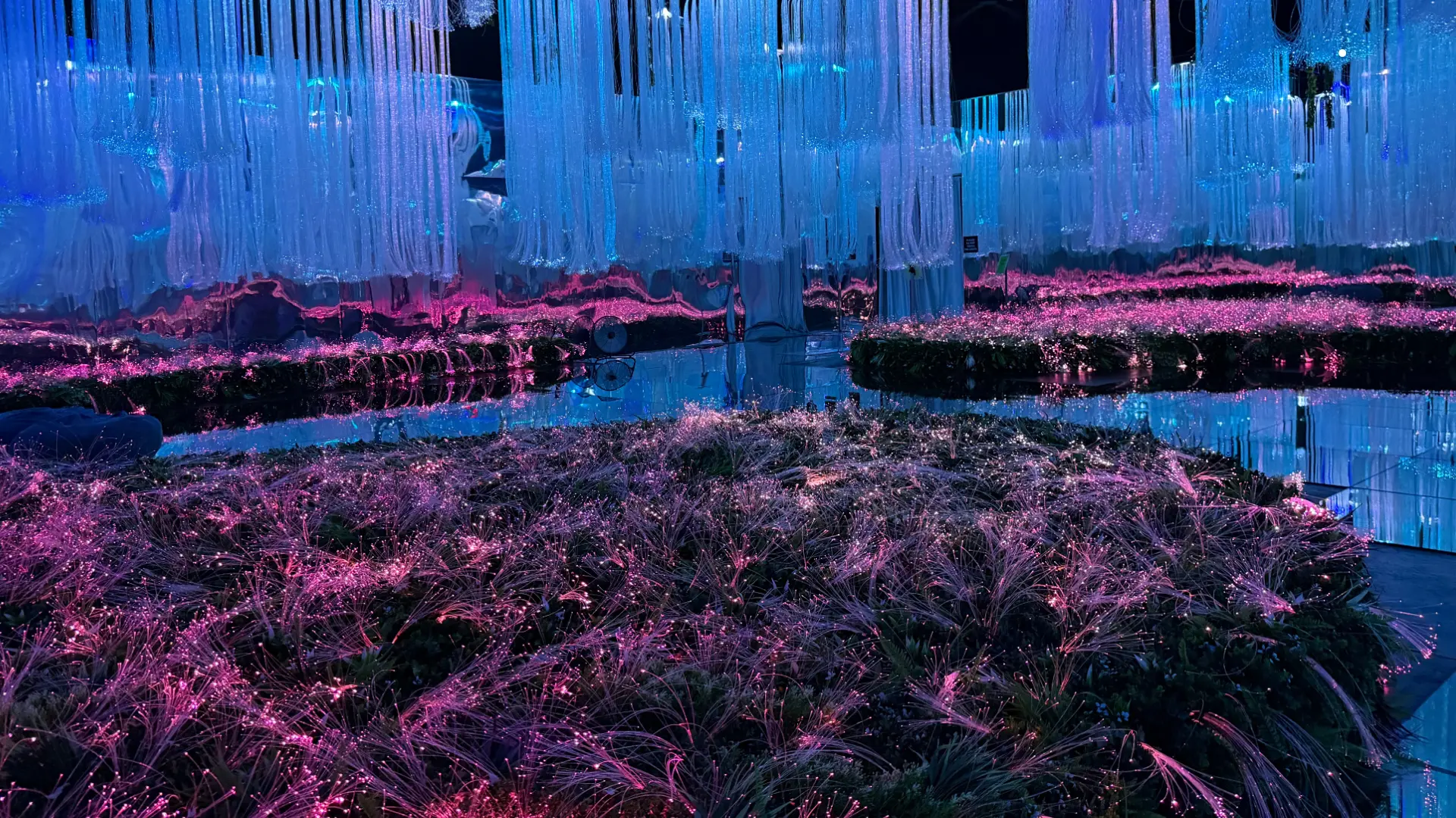 ENCHANTED GARDEN